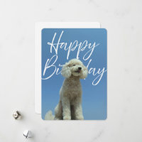 Alles Gute zum Geburtstag Grußkarte für Pudel Lieb