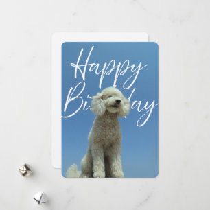 Alles Gute zum Geburtstag Grußkarte für Pudel Lieb Feiertagskarte