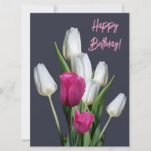 Alles Gute zum Geburtstag hübsche Pink Tulpe flora