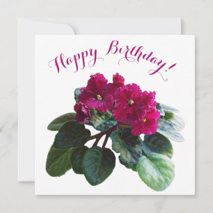 Alles Gute zum Geburtstag hübsche rosa Blume stilv Feiertagskarte