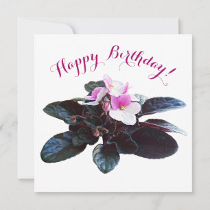 Alles Gute zum Geburtstag hübsche rosa Blume stilv Feiertagskarte
