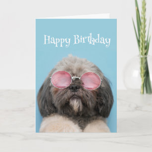 Alles Gute zum Geburtstag Humor Bleib cool Lustige Karte