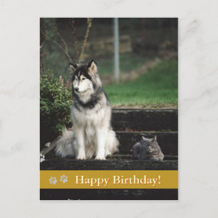 Alles Gute zum Geburtstag! - Hund und Katze Postka Postkarte