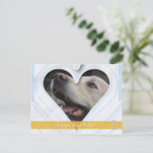 Alles Gute zum Geburtstag! - Hunde Postkarte (Stehend Vorderseite)