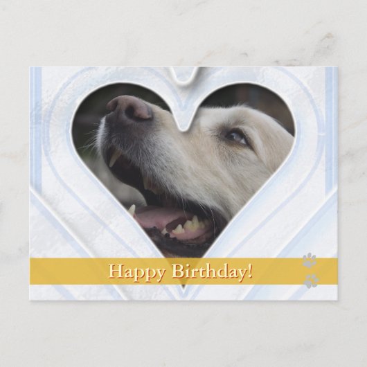 Alles Gute zum Geburtstag! - Hunde Postkarte (Vorderseite)