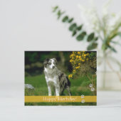 Alles Gute zum Geburtstag! - Hunde Postkarte (Stehend Vorderseite)