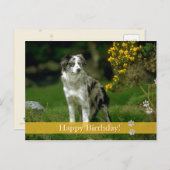Alles Gute zum Geburtstag! - Hunde Postkarte (Vorne/Hinten)
