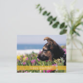 Alles Gute zum Geburtstag! - Hunde Postkarte (Stehend Vorderseite)