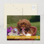Alles Gute zum Geburtstag! - Hunde Postkarte (Vorne/Hinten)
