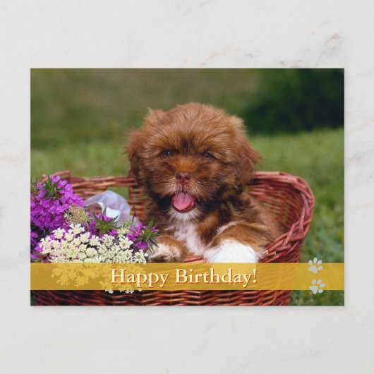 Alles Gute zum Geburtstag! - Hunde Postkarte (Vorderseite)