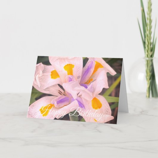Alles Gute zum Geburtstag Iris-Blume Karte (Vorderseite)