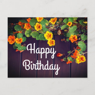 Alles Gute zum Geburtstag Kapuzinerkresse Postkart Postkarte