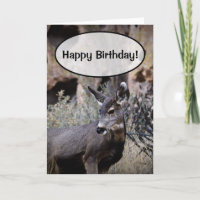 Alles Gute zum Geburtstag!