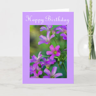 Alles Gute zum Geburtstag Karte