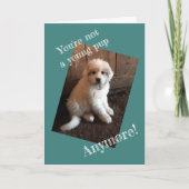 Alles Gute zum Geburtstag Karte (Vorderseite)