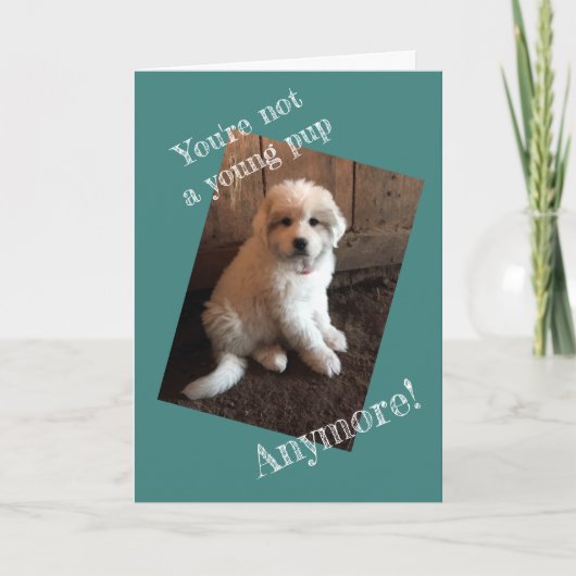 Alles Gute zum Geburtstag Karte (Vorderseite)