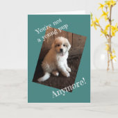 Alles Gute zum Geburtstag Karte (Gelbe Blume)