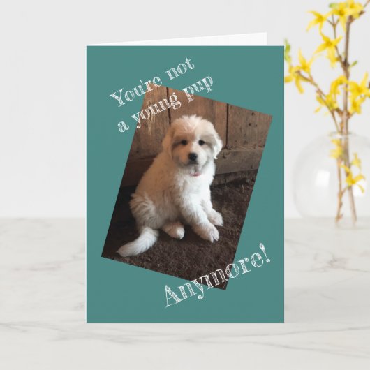 Alles Gute zum Geburtstag Karte (Gelbe Blume)