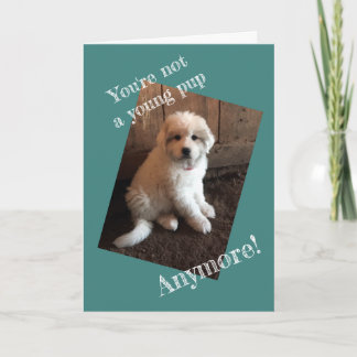 Alles Gute zum Geburtstag Karte