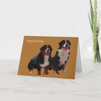Alles Gute zum Geburtstag Karte