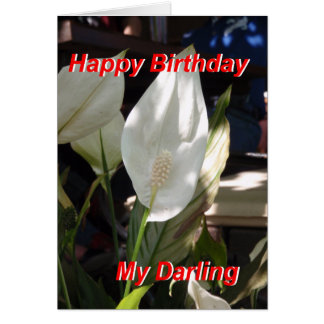 Alles Gute zum Geburtstag Karte
