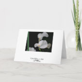 Alles Gute zum Geburtstag! Karte (Rückseite)