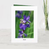 Alles Gute zum Geburtstag Karte (Rückseite)