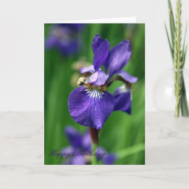 Alles Gute zum Geburtstag Karte