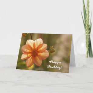 Alles Gute zum Geburtstag Karte