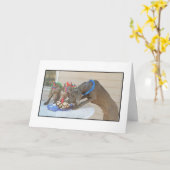 Alles Gute zum Geburtstag Karte (Gelbe Blume)