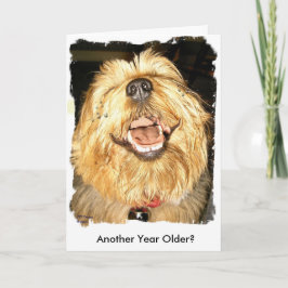 Alles Gute zum Geburtstag Karte