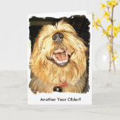 Alles Gute zum Geburtstag Karte (Gelbe Blume)