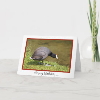 Alles Gute zum Geburtstag! Karte