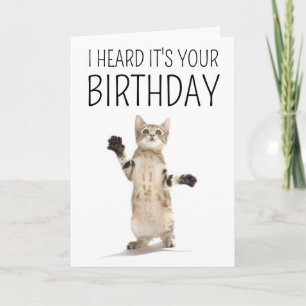 Alles Gute zum Geburtstag Kätzchen auf Weiß Karte