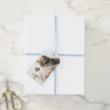 Alles Gute zum Geburtstag Kitten in Garden