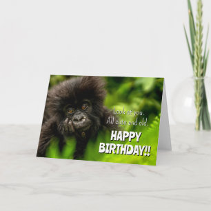 Alles Gute zum Geburtstag   Kleiner Berggorilla Karte