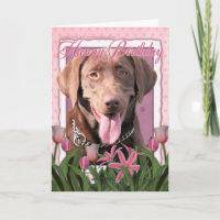 Alles Gute zum Geburtstag - Labrador - Schokolade