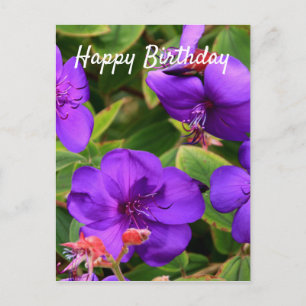 Alles Gute zum Geburtstag: Lila Tibouchina-Blume Postkarte