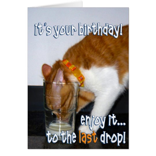 Alles Gute zum Geburtstag lustige Katze, die vom Grußkarte Zazzle