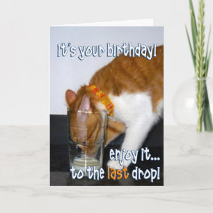 Alles Gute zum Geburtstag - Lustige Katze trinkt a Karte
