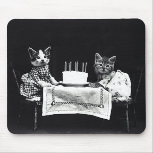 Alles Gute Zum Geburtstag Lustige Kleine Katzchenkatze Mit
