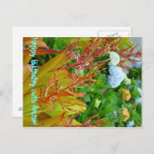 Alles Gute zum Geburtstag mit Aloha-Postkarte Postkarte (Vorne/Hinten)