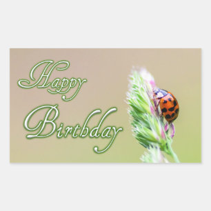 Alles Gute zum Geburtstag mit einem Ladybug! Rechteckiger Aufkleber