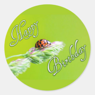 Alles Gute zum Geburtstag mit einem Ladybug! Runder Aufkleber