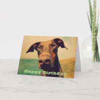 Alles Gute zum Geburtstag mit einem niedlichen