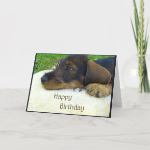 Alles Gute zum Geburtstag, niedlicher Dackelwelpe Karte