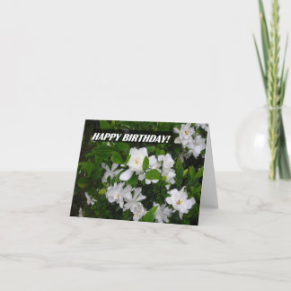 Alles Gute zum Geburtstag NoteCard, das Karte