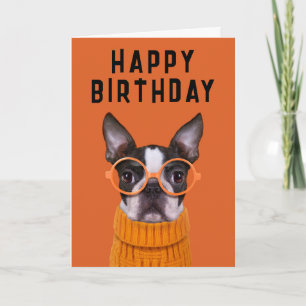Alles Gute zum Geburtstag   Orange Boston Terrier Karte