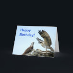 Alles Gute zum Geburtstag Ospreyflattern wings Karte<br><div class="desc">Fotografie eines Osprey oder des Falken, die seine Flügel mit die Wörter "alles Gute zum Geburtstag flattern! ", angezeigt auf der Front einer Karte. Innerhalb der Karte sagt "alles Gute zum Geburtstag zum beststen Bruder in der Welt!". --- Sie können den Text ändern, wenn Sie zu möchten. --- Fotografie ist...</div>