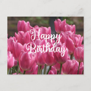 Alles Gute zum Geburtstag Pink Tulpen Blumen  Postkarte
